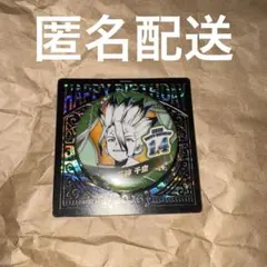 Dr.STONE 石神千空 バースデイ缶バッジ バースデー ジャンプショップ