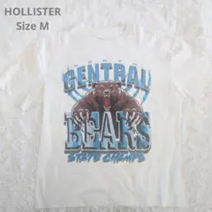 HOLLISTER プリントTシャツ ホワイト クマ柄