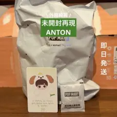 【未開封再現】RIIZE♡ANTON♡MEONGRYONGIE【即日発送】