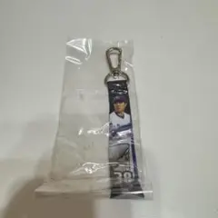 中日ドラゴンズ ミニボンフィン 松葉貴大ドラゴンズガチャ