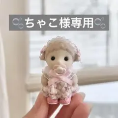 ☁️ちゃこ様専用☁️