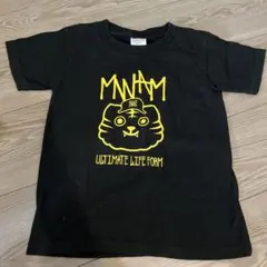 Item thumbnail for item 74c7f181-8d41-4eb3-a8ec-7d3a23005d87