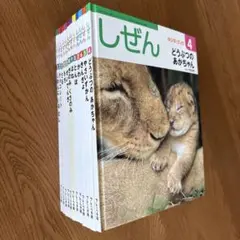 しぜん キンダーブック 絵本 読み聞かせ 35冊 まとめ売り セット売り