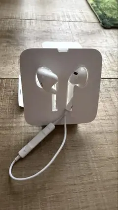 Iphone Lightningイヤフォン 専用ケース付き