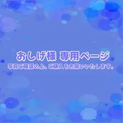 おしげ様専用ページ