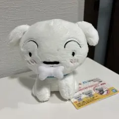 クレヨンしんちゃん シロのぶるぶるぬいぐるみ ～ホネをパクッ！～ Ａ