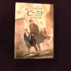 ファンタスティック・ビーストと魔法使いの旅 DVD