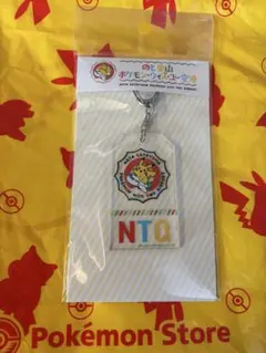 能登空港 ポケモン アクリルキーホルダー NTQ 能登空港 ポケモン アクリルキーホルダー NTQ - メルカリ