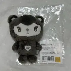 2026年最新】exo ぬいぐるみ カイの人気アイテム - メルカリ