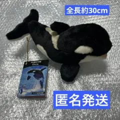 名古屋港水族館 飼育員監修 ぬいぐるみ リアルシャチ メス Sサイズのサムネイル
