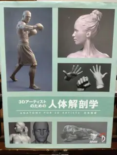 3Dアーティストのための人体解剖学