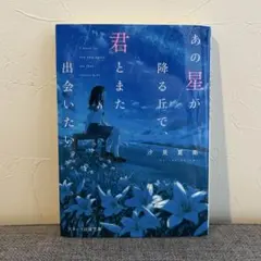あの星が降る丘で、君とまた出会いたい。