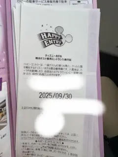 ハッピーエントリー 4枚セット　バラ売り可 4枚セット チケット ハッピーエントリー 9/4 ディズニーランド