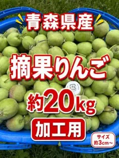 青森県産 摘果りんご 約20kg 加工用のサムネイル