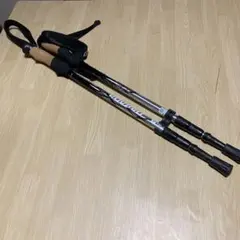 Item thumbnail for item 6bfca919-07be-4f17-9f06-0c6f6e624476