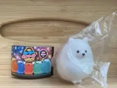 パーリーポメライト キリッ ホワイト ポメラニアン