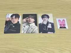 Stray Kids Toy World トレカ チャンビン