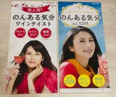 柴咲コウ サントリーチューハイ 店頭ポスター 2枚セット ⑥ 【非売品】