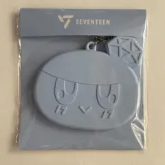 SEVENTEEN ボンボンイ 缶バッジホルダー