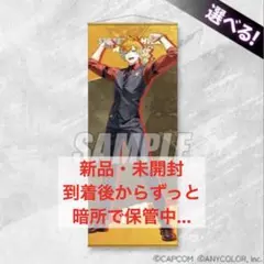 宇佐美リト 等身大タペストリー S賞 スト6 カプくじ にじさんじ - メルカリ