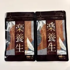 楽養生 ビタミン含有保健剤 90粒入 2袋セット - メルカリ