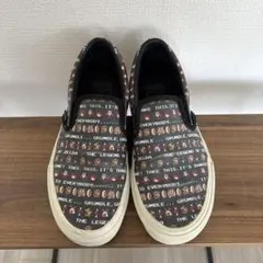 VANS × Nintendo ゼルダの伝説 スリッポン 24.5cm 箱付 - メルカリ