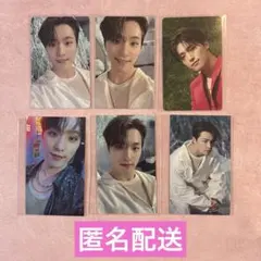 SEVENTEEN sector17 ディノ トレカ まとめ売り①