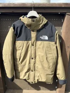 希少SビーチグリーンTHE NORTH FACE マウンテンダウンジャケット