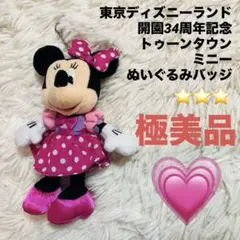 【極美品】東京ディズニーランド トゥーンタウンモチーフ ミニー ぬいぐるみバッジ