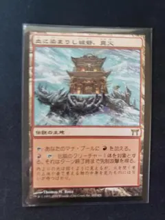 親水様 リクエスト 2点 まとめ商品