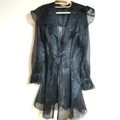 シースルートップス　クリーニング済