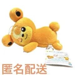 【新品タグ付き】ヒメグマ ポケモン くつろぎタイム ぬいぐるみ 景品限定のサムネイル