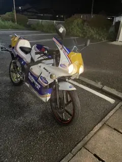 NS1 前期 中華ロスマンズ フル カウル - メルカリ