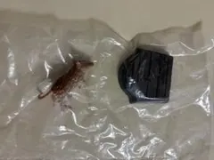 ハリーポッター 魔法生物コレクション スキャバーズ フィギュア