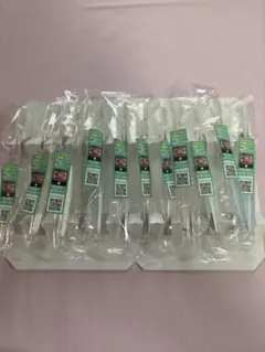 新パッケージ】奇跡の歯ブラシ 大人用12本新品未開封正規品プレゼント 