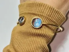 蝶の翅の標本のバングル モルフォチョウ ミイロタテハ