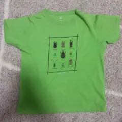 mont-bell 昆虫プリント Tシャツ 緑
