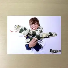オリックス 渡部遼人 干支 生写真