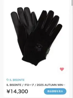 ⭐︎明日価格元に戻します⭐︎IL BISONTE / グローブ2025