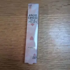 CANMAKE キャンメイク アイカラーマジシャン02約束
