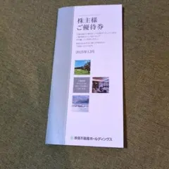 東急不動産ホールディングス　株主様ご優待券