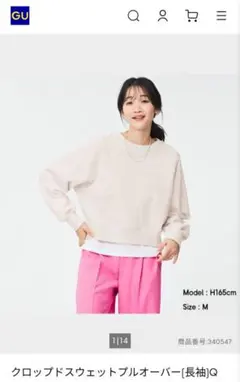 Item thumbnail for item 468392d0-2d11-4b72-a373-e639bdf610c6