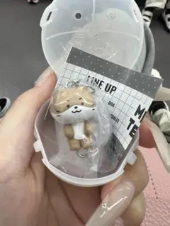 MINITEEN つまんでつなげてますこっと ディノ