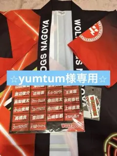 2026年最新】ウルフドッグス名古屋 タオルの人気アイテム - メルカリ