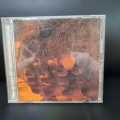 L'Arc-en-Ciel CD ray
