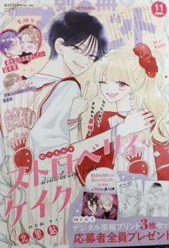 別冊マーガレット　お姉ちゃんの翠くん