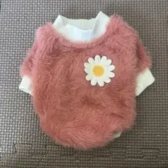 Item thumbnail for item c05dc06a-3010-49e2-bee6-21be2d4f1c30