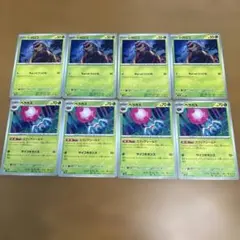シガロコ ベラカス
