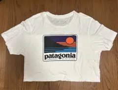 patagonia オーガニックコットン Tシャツ Sサイズ スリムフィット