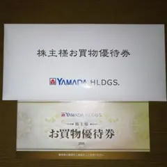 YAMADA HLDGS. お買物優待券 10枚5000円分